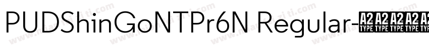 PUDShinGoNTPr6N Regular字体转换